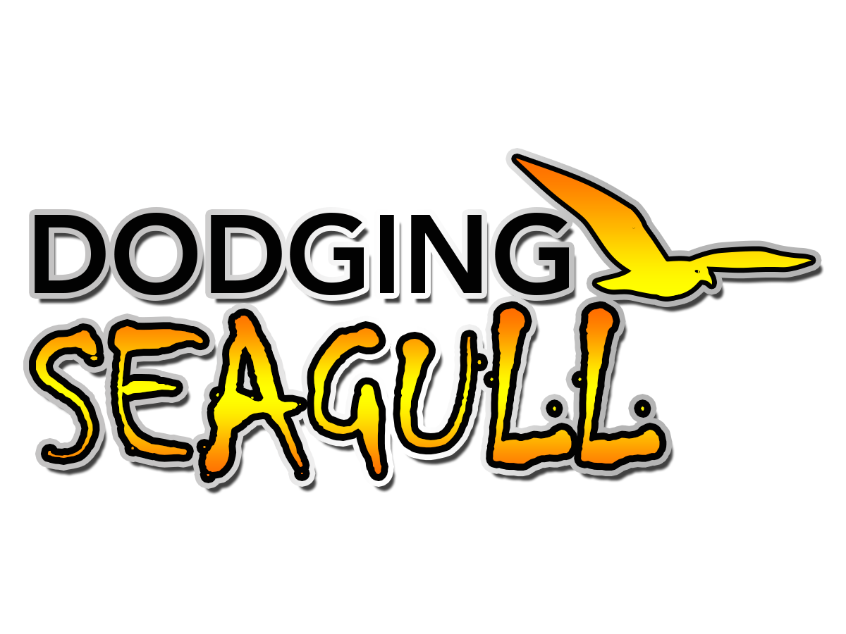 Dodging Seagull